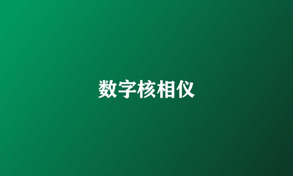 数字核相仪
