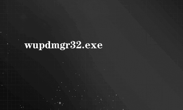 wupdmgr32.exe