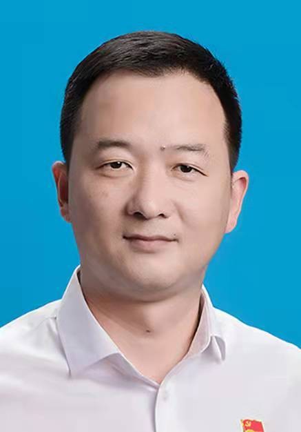 张仲林(安徽省芜湖市湾沚区委社会工作部原部长、区委非公工委书记)
