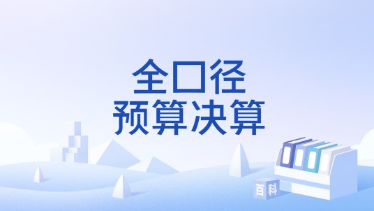 全口径预算决算