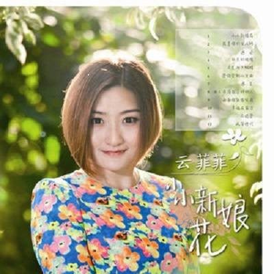遇见（2014年云菲菲演唱的歌曲）