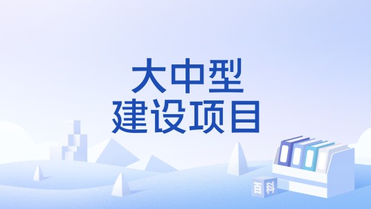 大中型建设项目