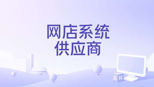 网店系统供应商