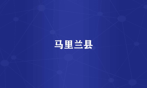 马里兰县