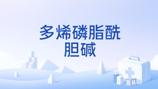 多烯磷脂酰胆碱