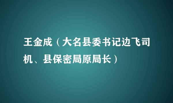 王金成（大名县委书记边飞司机、县保密局原局长）