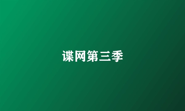 谍网第三季