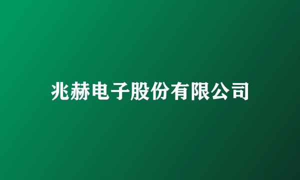 兆赫电子股份有限公司