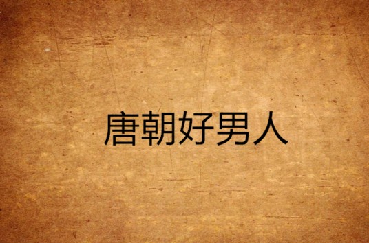 唐朝好男人(2008年新星出版社出版的图书)