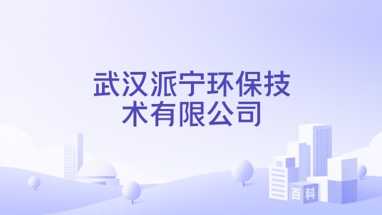 武汉派宁环保技术有限公司