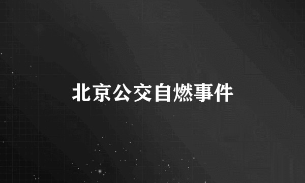 北京公交自燃事件