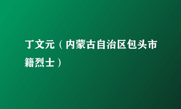 丁文元（内蒙古自治区包头市籍烈士）