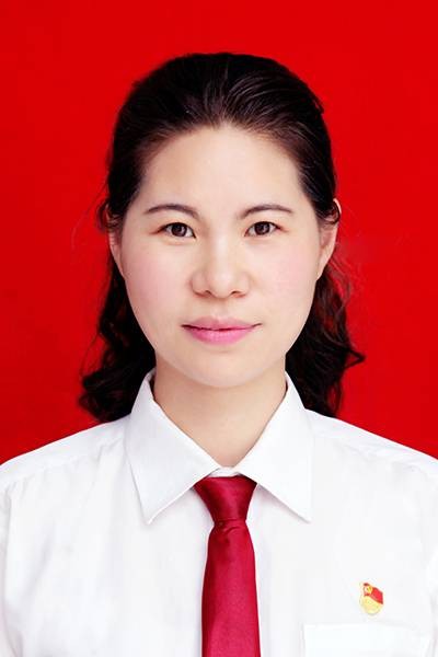 王克平（河南省平顶山市宝丰县委常委、政法委书记）