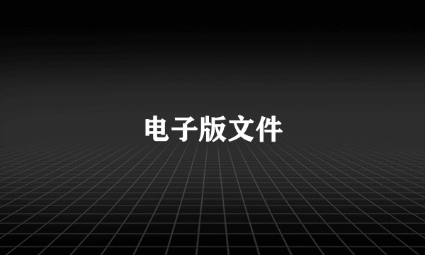 电子版文件