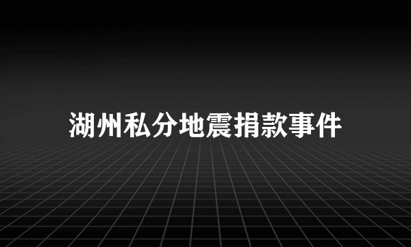 湖州私分地震捐款事件