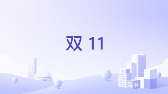 双 11
