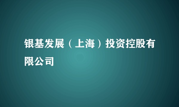 银基发展（上海）投资控股有限公司