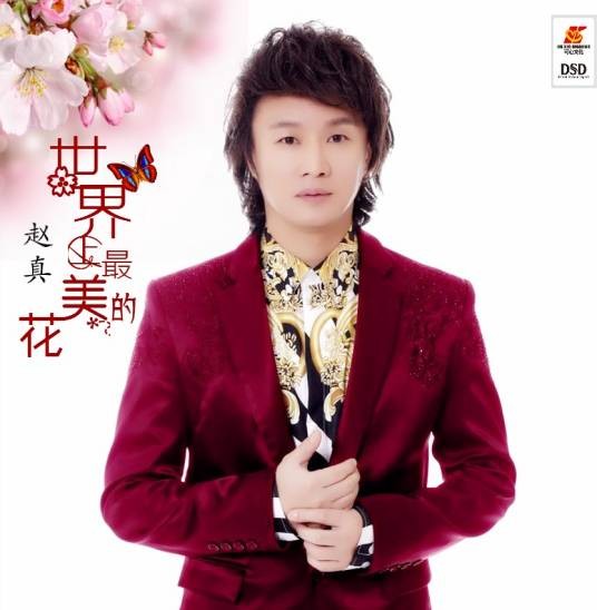 世界上最美的花（赵真演唱的歌曲）