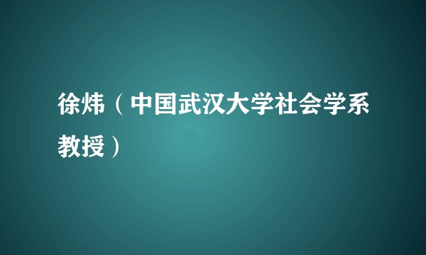 徐炜（中国武汉大学社会学系教授）
