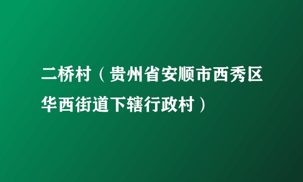 二桥村（贵州省安顺市西秀区华西街道下辖行政村）