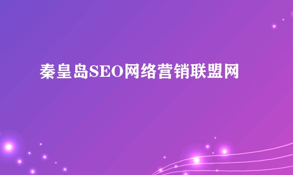 秦皇岛SEO网络营销联盟网