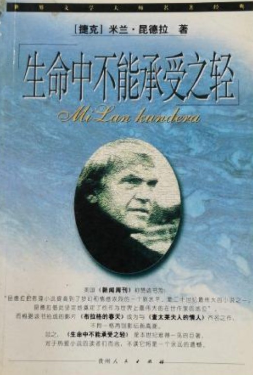 生命中不能承受之轻（2013年天津科技翻译出版公司出版的图书）