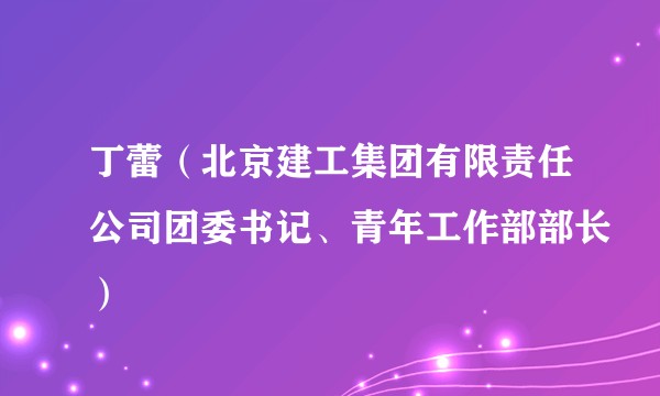 丁蕾（北京建工集团有限责任公司团委书记、青年工作部部长）
