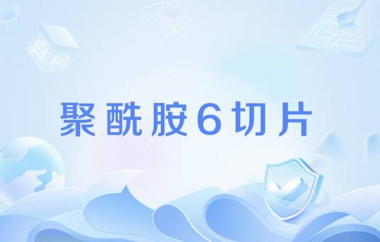 聚酰胺6切片