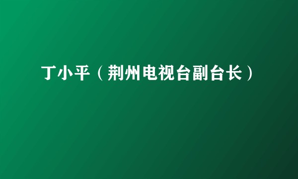 丁小平（荆州电视台副台长）