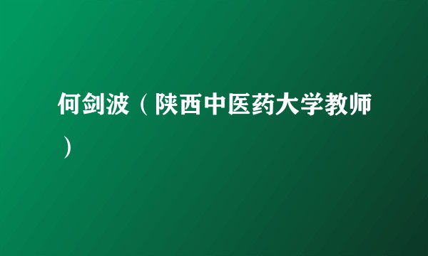 何剑波（陕西中医药大学教师）