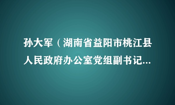 孙大军（湖南省益阳市桃江县人民政府办公室党组副书记、副主任（兼县税控联管办主任））