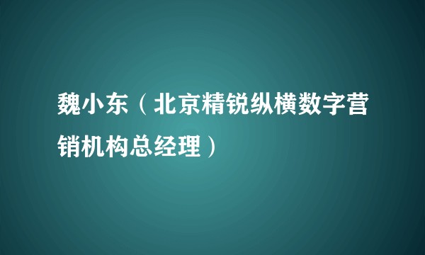 魏小东（北京精锐纵横数字营销机构总经理）