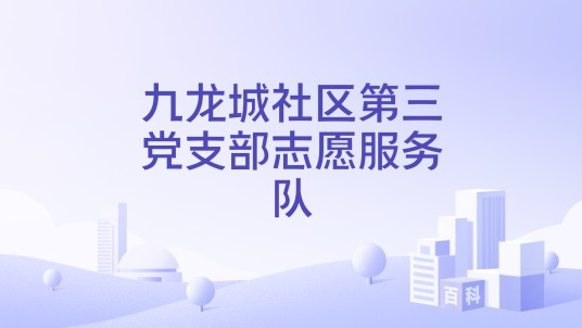 九龙城社区第三党支部志愿服务队