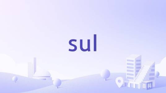 sul（小额无抵押贷款）