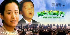 灿烂的季节（2004年宋江波执导的电影）