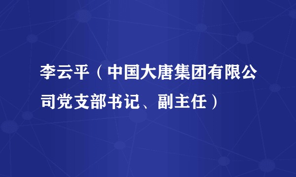 李云平（中国大唐集团有限公司党支部书记、副主任）