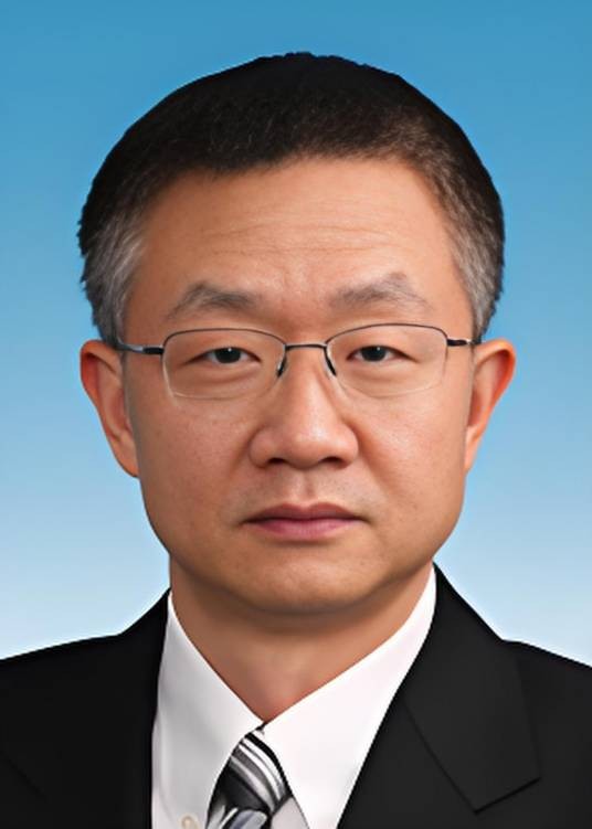 陈西（国家电网有限公司总会计师、党组成员）
