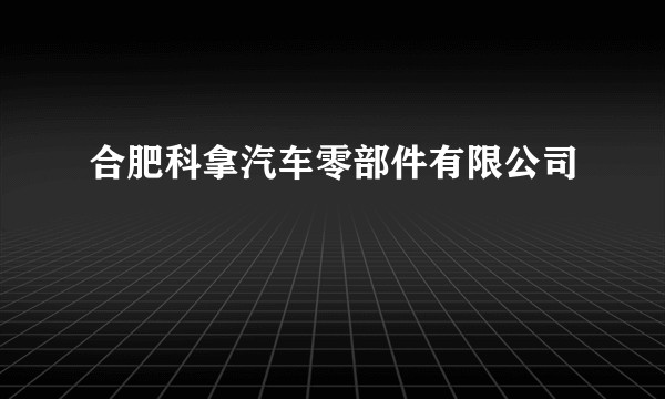 合肥科拿汽车零部件有限公司