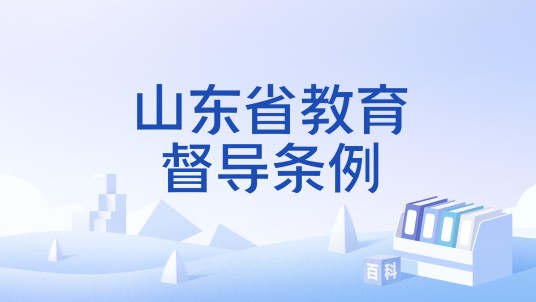 山东省教育督导条例