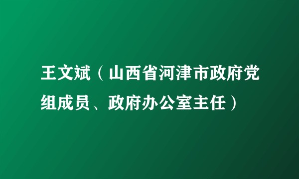 王文斌（山西省河津市政府党组成员、政府办公室主任）