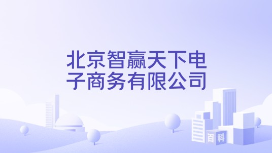 北京智赢天下电子商务有限公司
