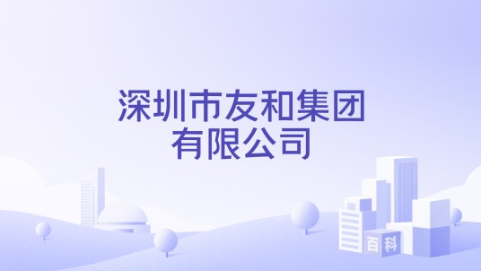 深圳市友和集团有限公司
