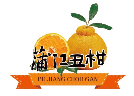 蒲江丑柑