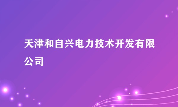 天津和自兴电力技术开发有限公司