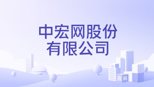 中宏网股份有限公司