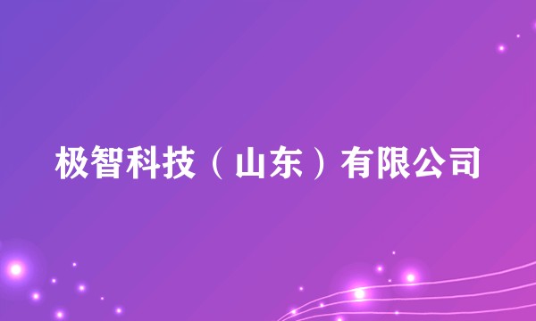 极智科技（山东）有限公司