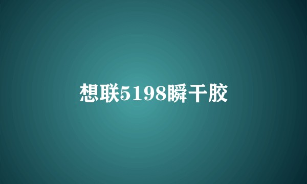 想联5198瞬干胶