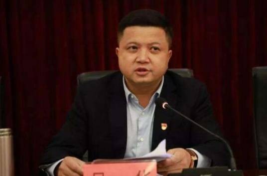 吴华（江西省南昌市政府原副秘书长、市政府机关原党组成员）