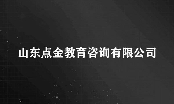 山东点金教育咨询有限公司