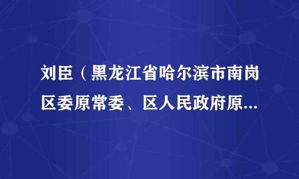刘臣（黑龙江省哈尔滨市南岗区委原常委、区人民政府原副区长）